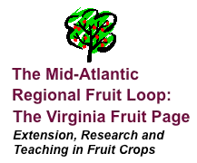 Virginia Fruit Page